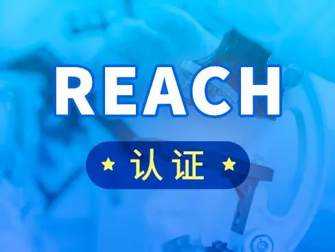 REACH是什么意思？